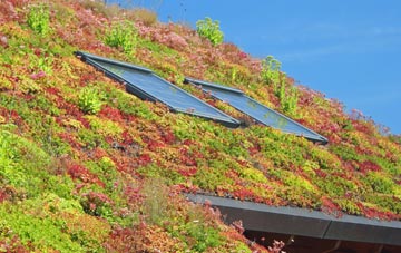 Bougton End living roof systems
